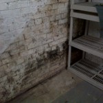 Mold in basement - Root Cause: Foundation leaking