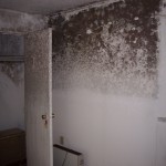 Mold in upstairs bedroom