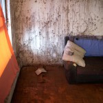 Lots of mold in living room