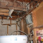 Mold in the basement