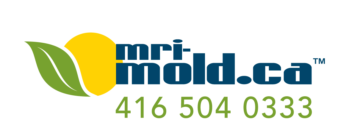 MRI Mold